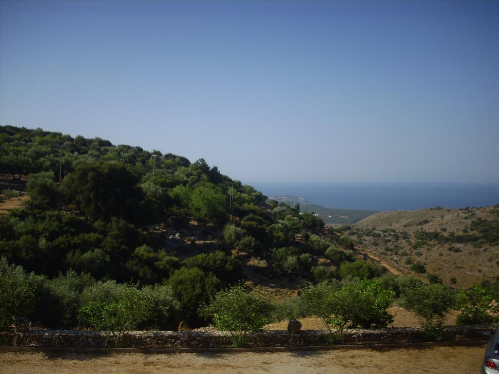Asteras Studios Argostoli  Ngoại thất bức ảnh